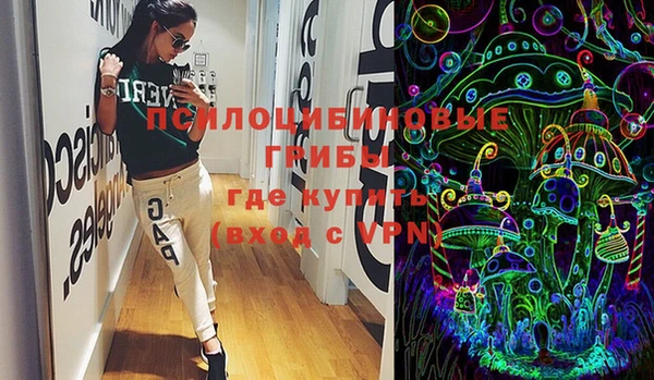 ПСИЛОЦИБИНОВЫЕ ГРИБЫ Заволжск
