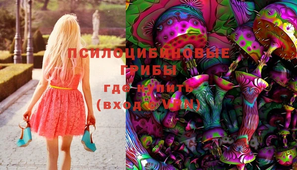 прущий лед Пересвет