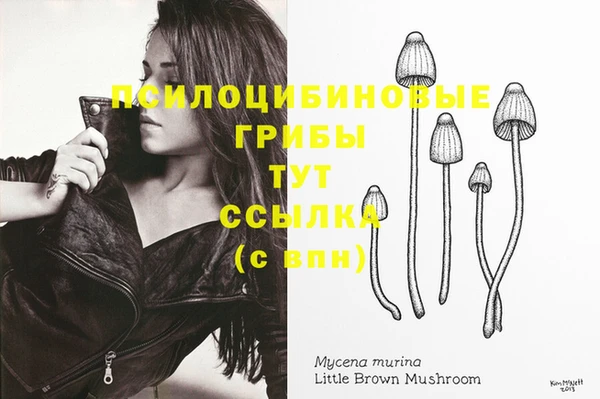 ПСИЛОЦИБИНОВЫЕ ГРИБЫ Заволжск