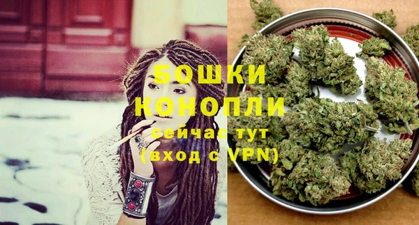 ПСИЛОЦИБИНОВЫЕ ГРИБЫ Заволжск