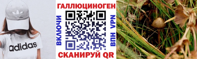 где купить наркотик  Сковородино  Псилоцибиновые грибы Magic Shrooms 